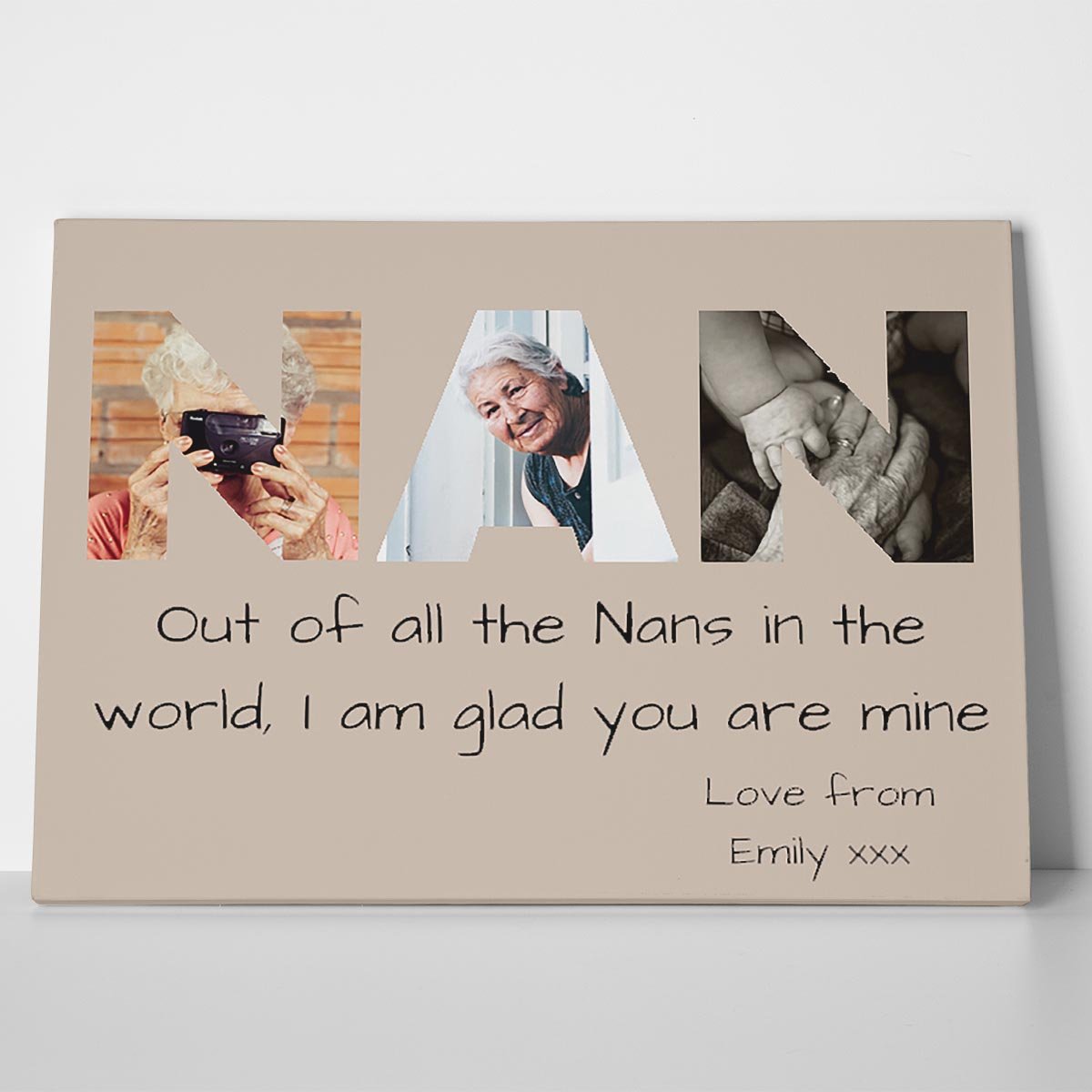 NAN Photo Canvas Print