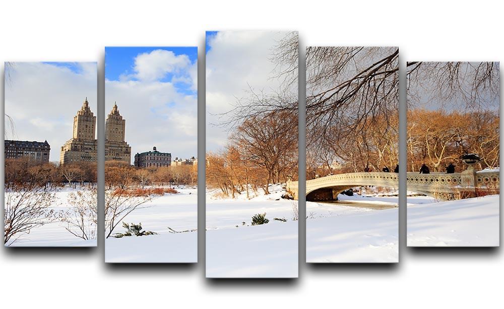 New York Manhattan Central Park panorama winter 5 Split Panel Canvas  - Canvas Art Rocks - 1
