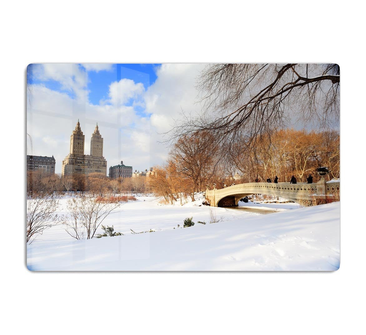 New York Manhattan Central Park panorama winter HD Metal Print