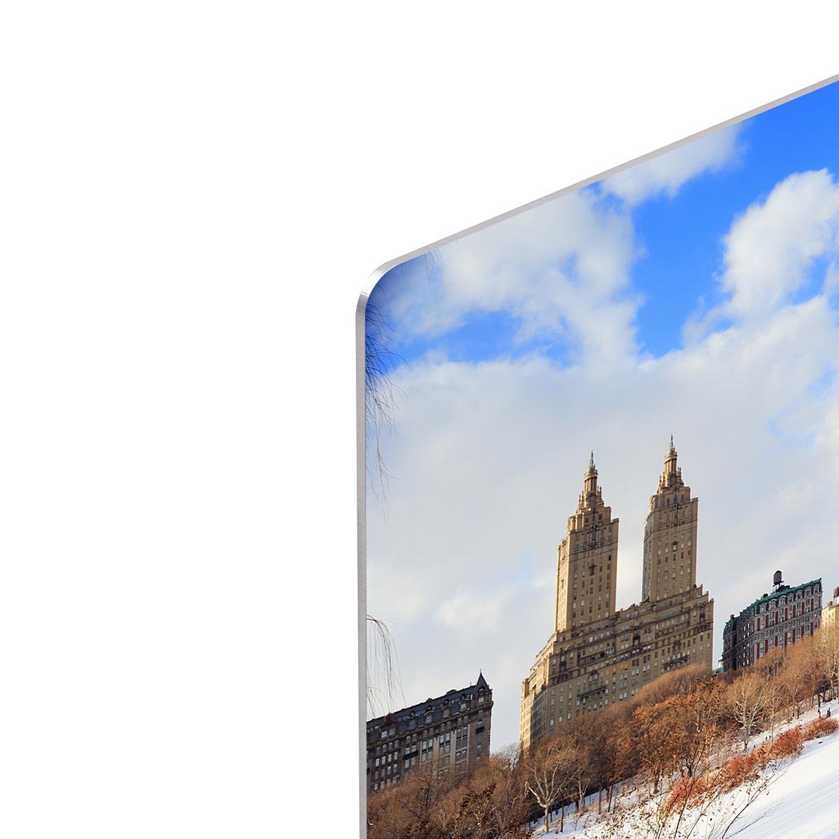 New York Manhattan Central Park panorama winter HD Metal Print
