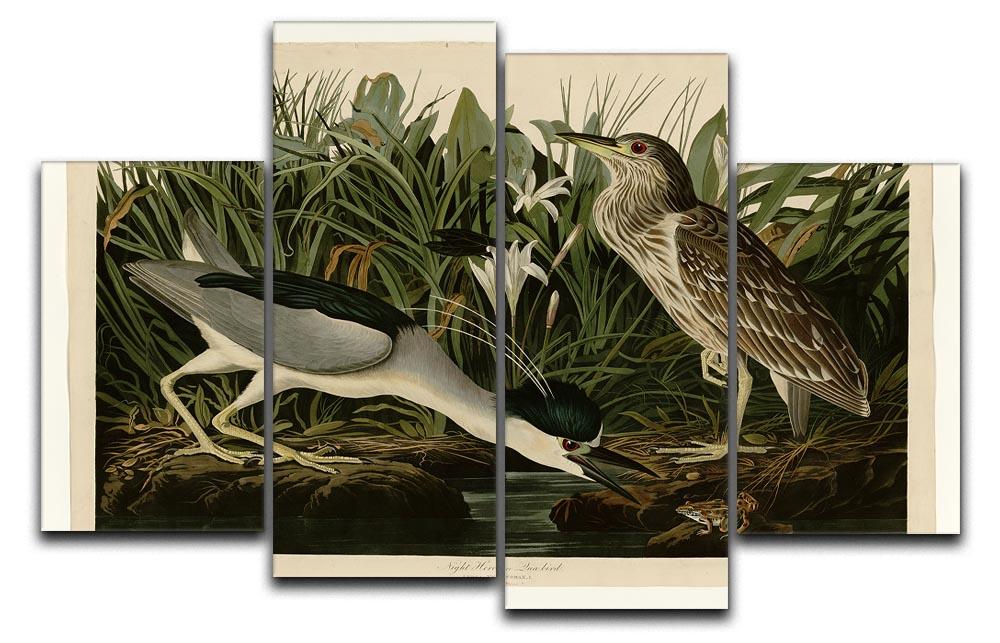 Night Heron by Audubon 4 Split Panel Canvas - Canvas Art Rocks - 1