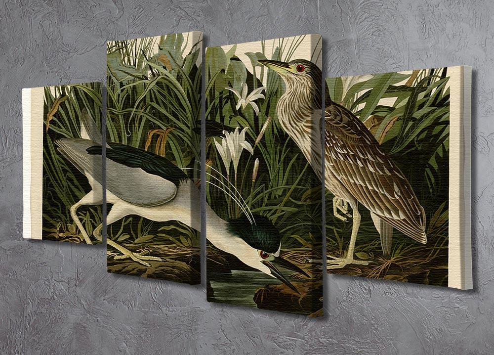 Night Heron by Audubon 4 Split Panel Canvas - Canvas Art Rocks - 2