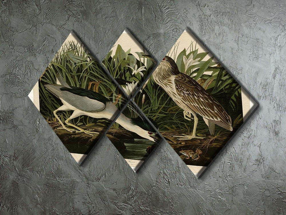 Night Heron by Audubon 4 Square Multi Panel Canvas - Canvas Art Rocks - 2