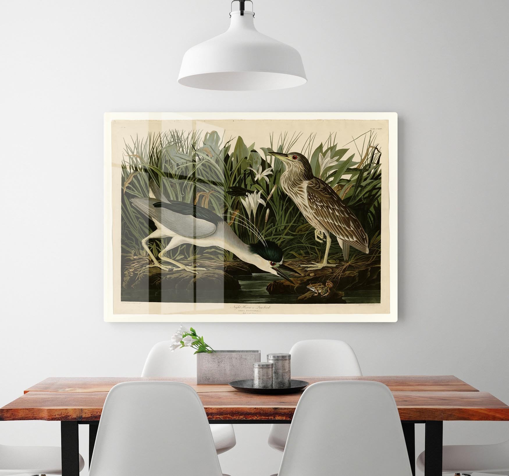 Night Heron by Audubon HD Metal Print - Canvas Art Rocks - 2