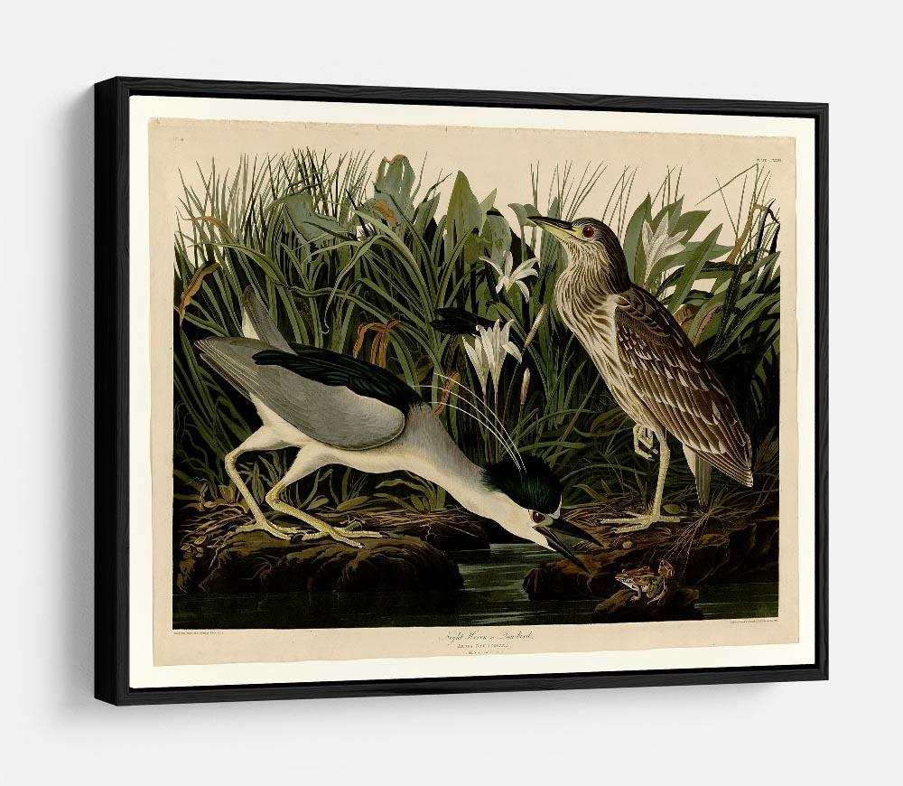 Night Heron by Audubon HD Metal Print - Canvas Art Rocks - 6