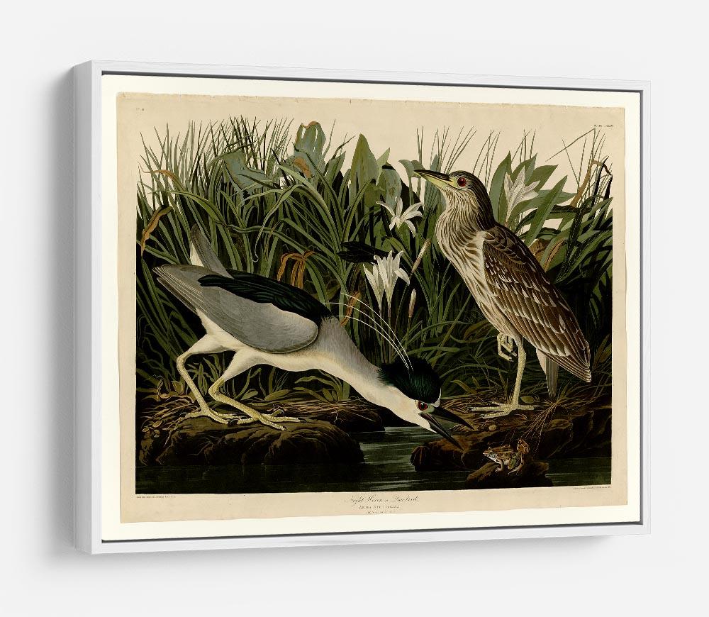 Night Heron by Audubon HD Metal Print - Canvas Art Rocks - 7