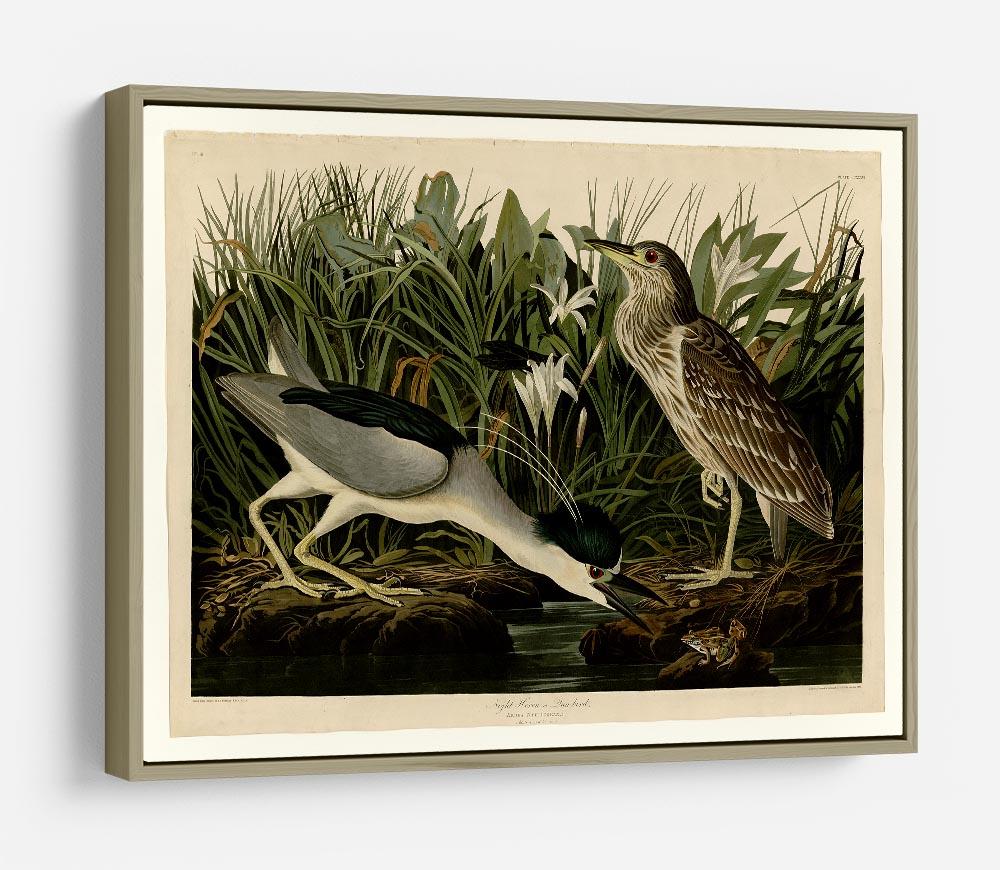 Night Heron by Audubon HD Metal Print - Canvas Art Rocks - 8
