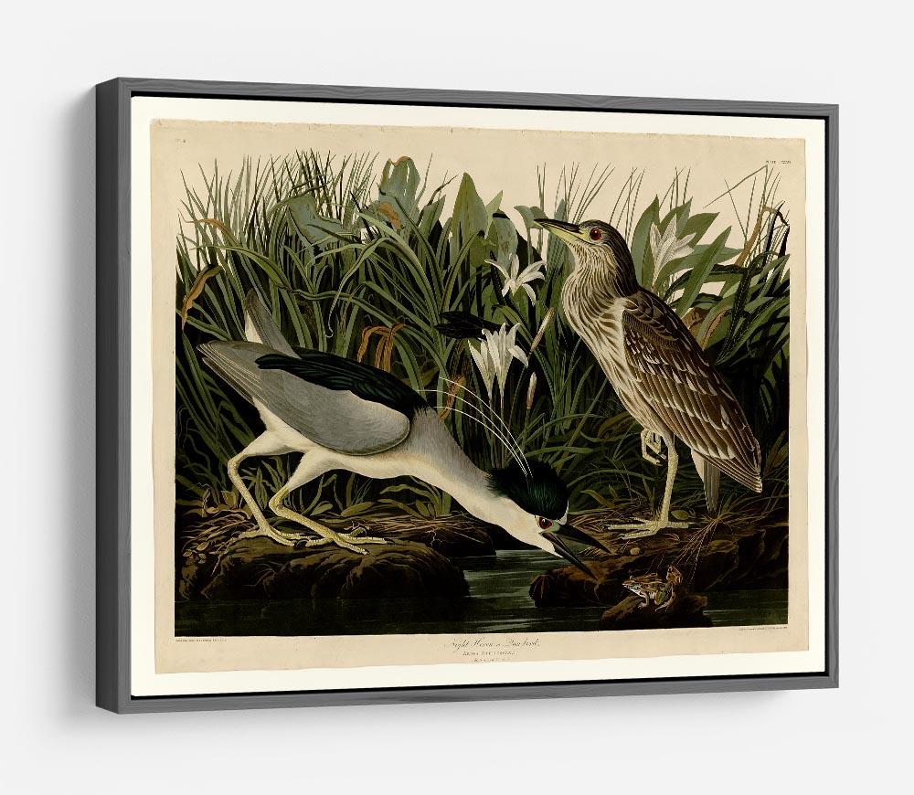 Night Heron by Audubon HD Metal Print - Canvas Art Rocks - 9