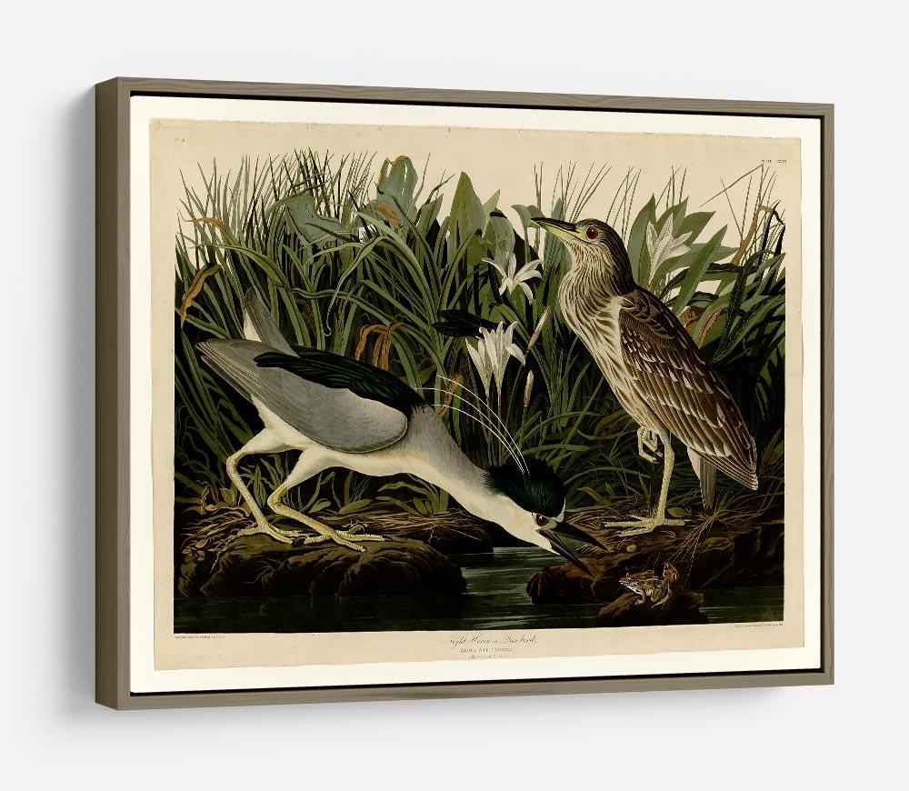 Night Heron by Audubon HD Metal Print - Canvas Art Rocks - 10