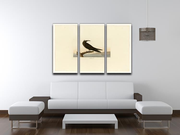 Noddy Tern by Audubon 3 Split Panel Canvas Print - Canvas Art Rocks - 3