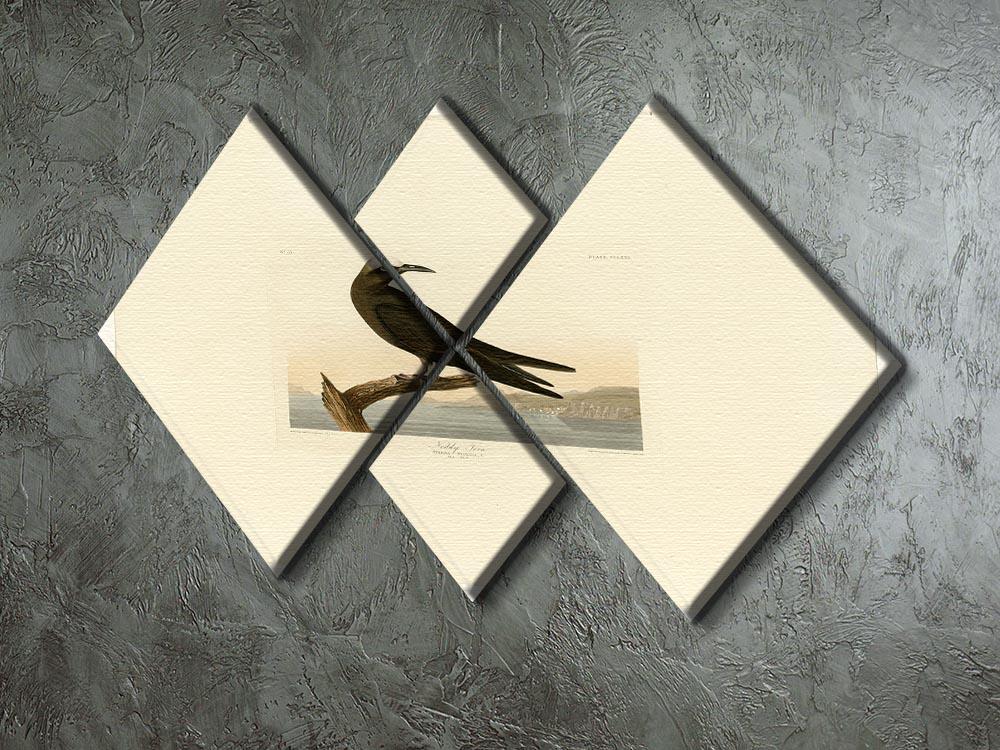 Noddy Tern by Audubon 4 Square Multi Panel Canvas - Canvas Art Rocks - 2