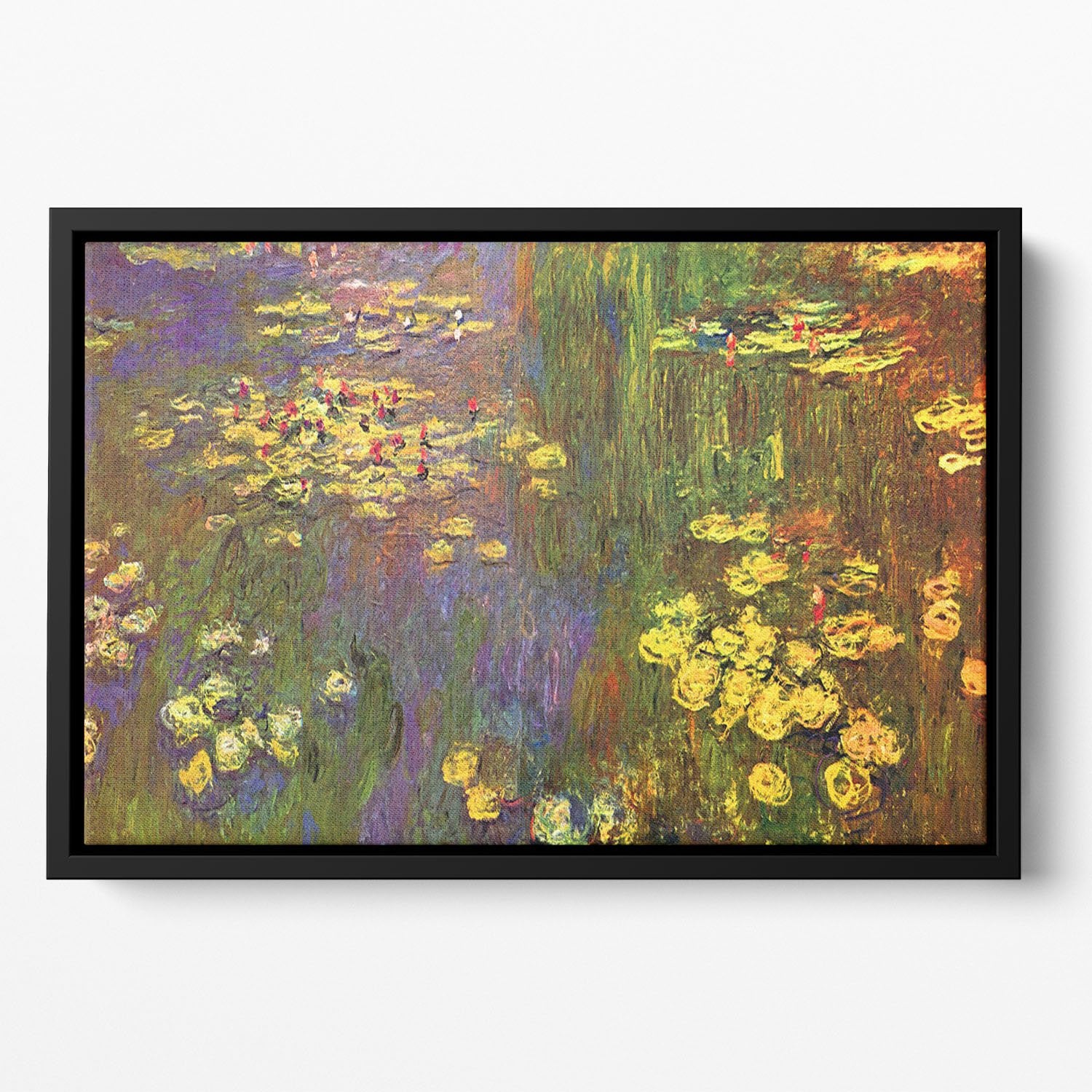 Nympheas water plantes Floating Framed Canvas