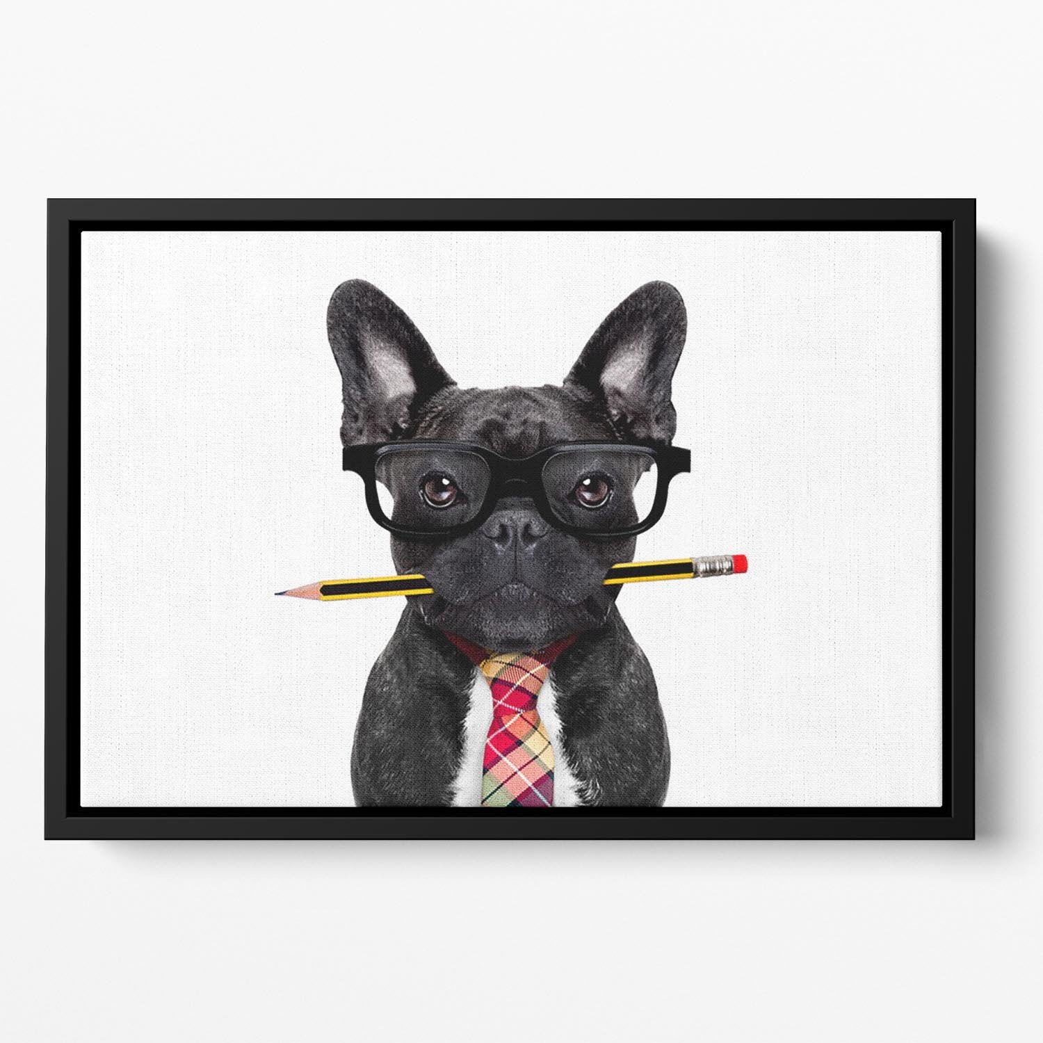 Office businessman french bulldog dog with pen Floating Framed Canvas - Canvas Art Rocks - 2