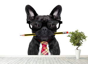 Office businessman french bulldog dog with pen Wall Mural Wallpaper - Canvas Art Rocks - 4