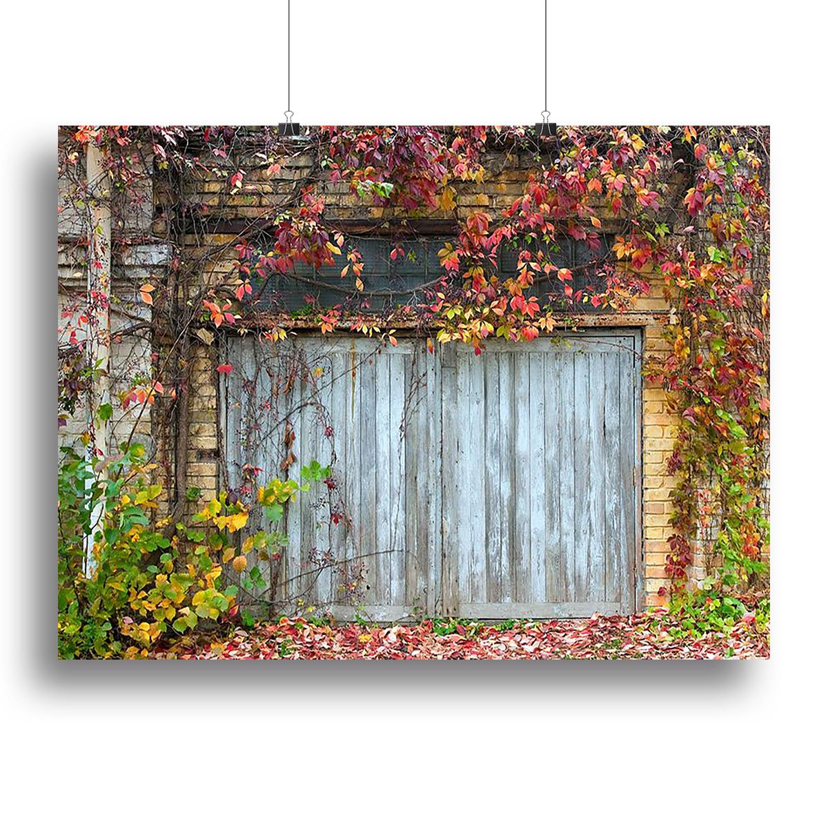 Old wooden door with a brick Canvas Print or Poster