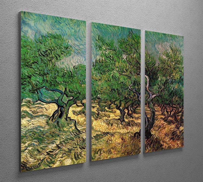 Olive Grove 2 by Van Gogh 3 Split Panel Canvas Print - Canvas Art Rocks - 4