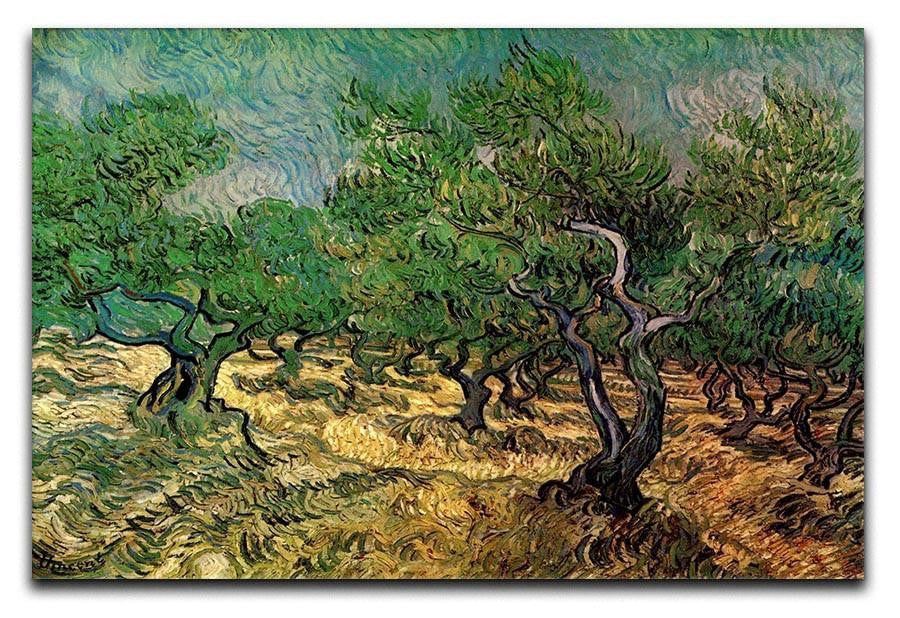 Olive Grove 2 by Van Gogh Canvas Print & Poster  - Canvas Art Rocks - 1