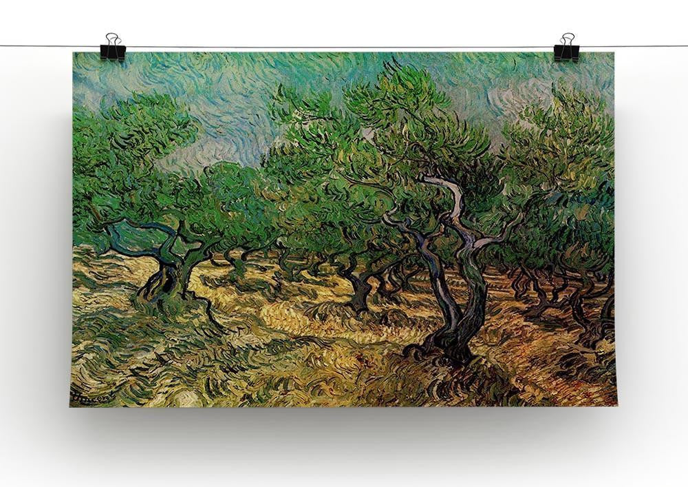 Olive Grove 2 by Van Gogh Canvas Print & Poster - Canvas Art Rocks - 2