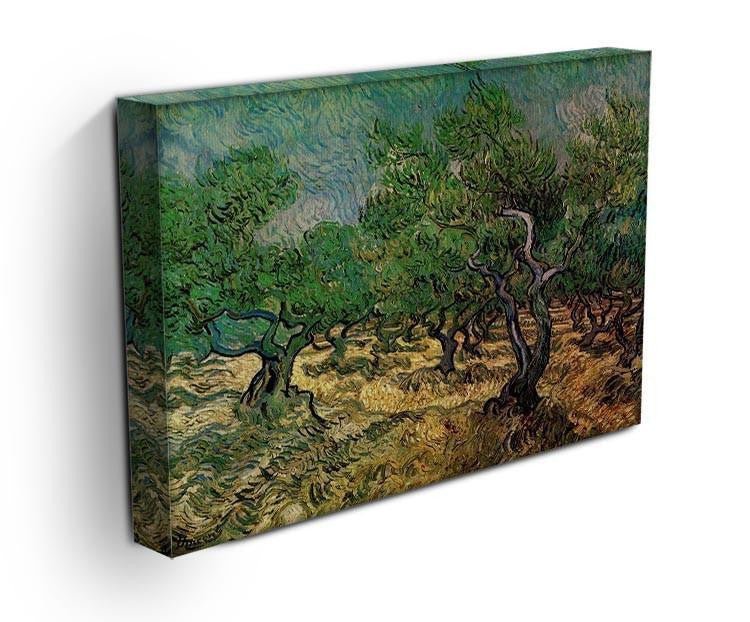 Olive Grove 2 by Van Gogh Canvas Print & Poster - Canvas Art Rocks - 3
