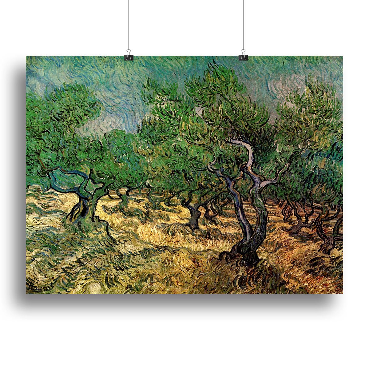 Olive Grove 2 by Van Gogh Canvas Print or Poster