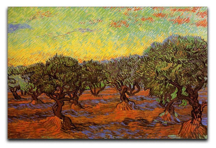 Olive Grove Orange Sky by Van Gogh Canvas Print & Poster  - Canvas Art Rocks - 1