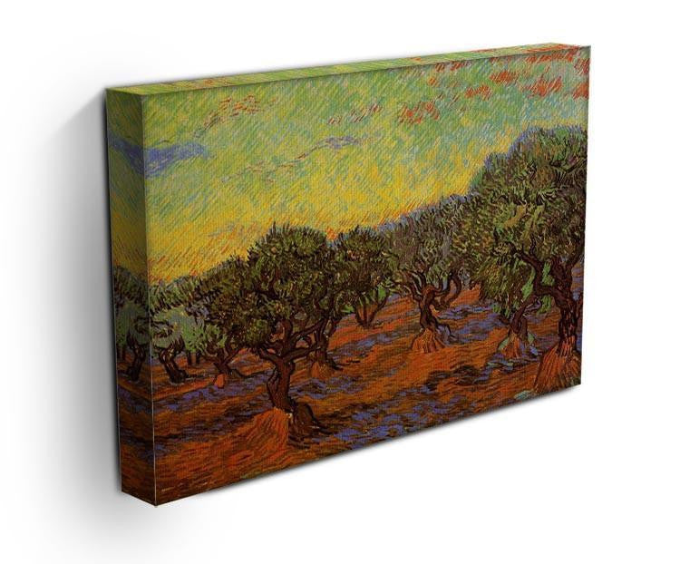 Olive Grove Orange Sky by Van Gogh Canvas Print & Poster - Canvas Art Rocks - 3