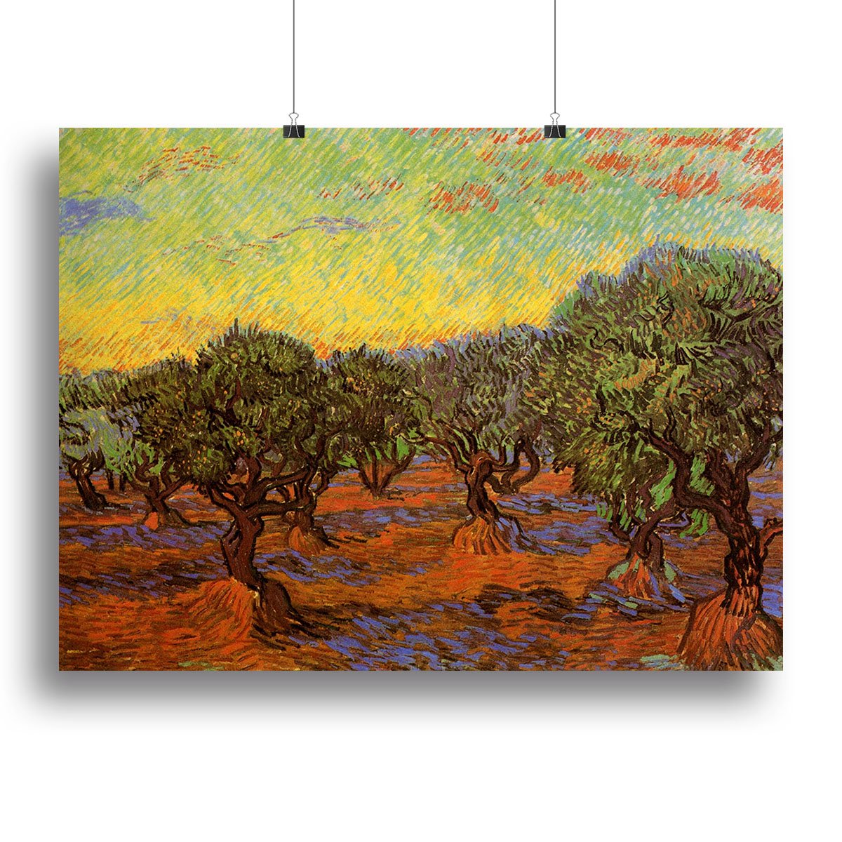 Olive Grove Orange Sky by Van Gogh Canvas Print or Poster