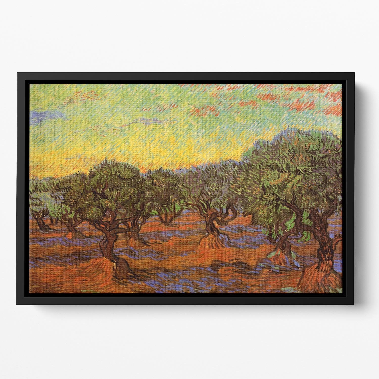 Olive Grove Orange Sky by Van Gogh Floating Framed Canvas