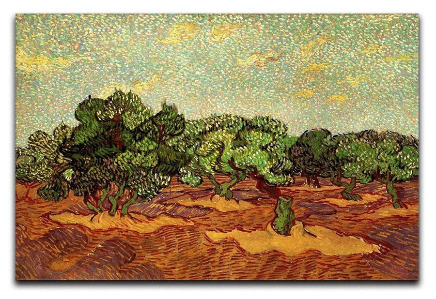 Olive Grove Pale Blue Sky by Van Gogh Canvas Print & Poster  - Canvas Art Rocks - 1