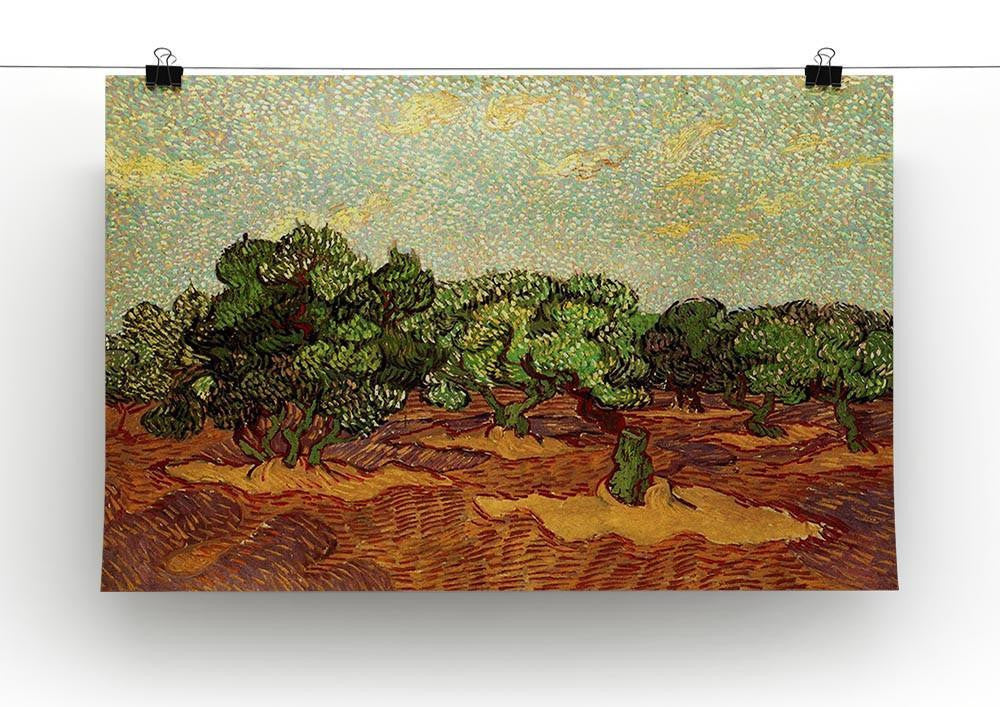 Olive Grove Pale Blue Sky by Van Gogh Canvas Print & Poster - Canvas Art Rocks - 2