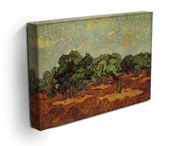 Olive Grove Pale Blue Sky by Van Gogh Canvas Print & Poster - Canvas Art Rocks - 3