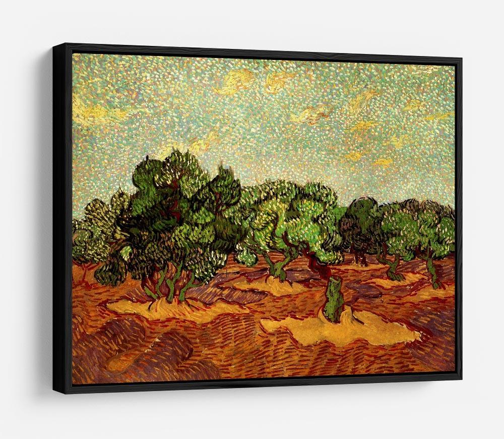 Olive Grove Pale Blue Sky by Van Gogh HD Metal Print