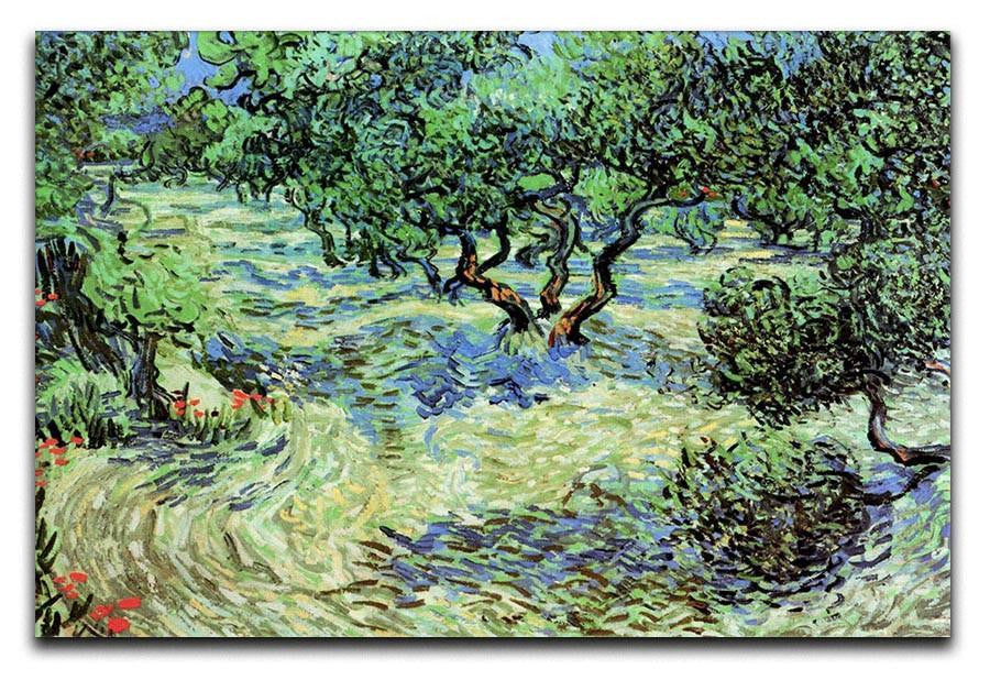 Olive Grove by Van Gogh Canvas Print & Poster  - Canvas Art Rocks - 1