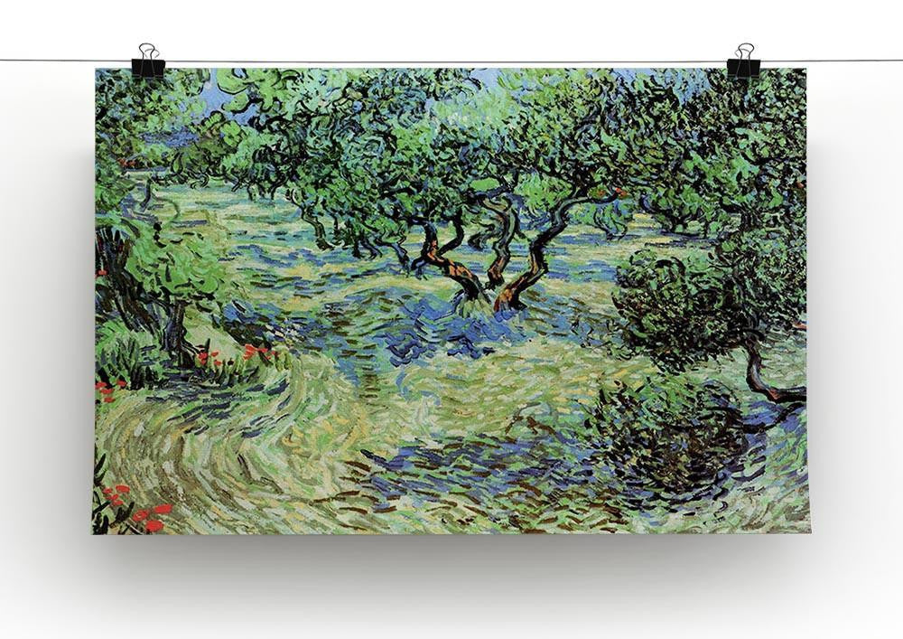 Olive Grove by Van Gogh Canvas Print & Poster - Canvas Art Rocks - 2