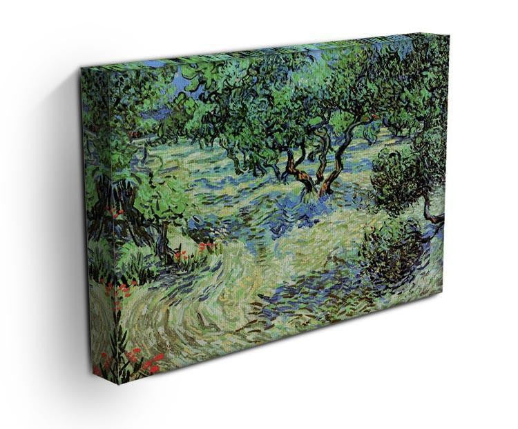 Olive Grove by Van Gogh Canvas Print & Poster - Canvas Art Rocks - 3