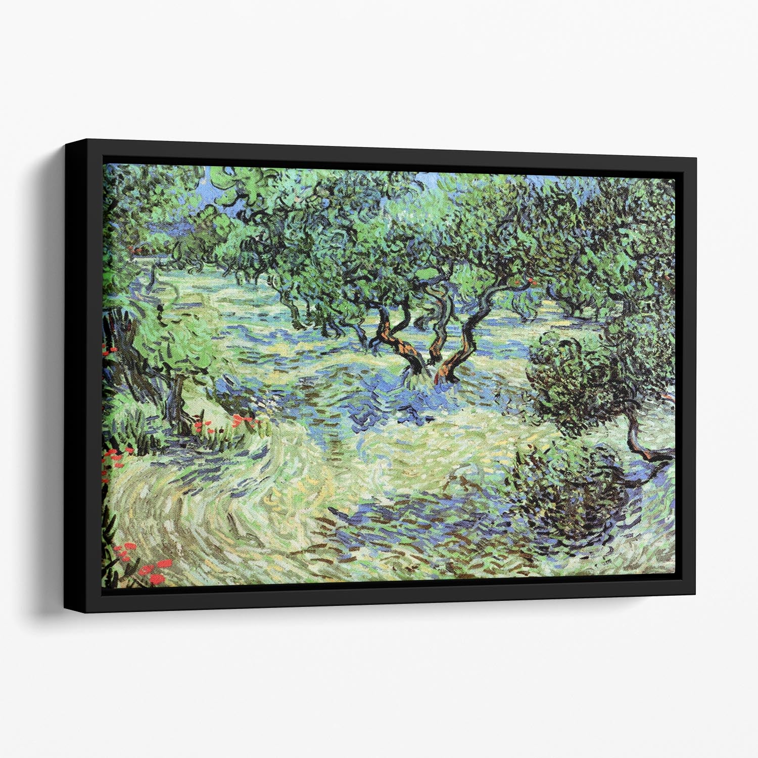 Olive Grove by Van Gogh Floating Framed Canvas