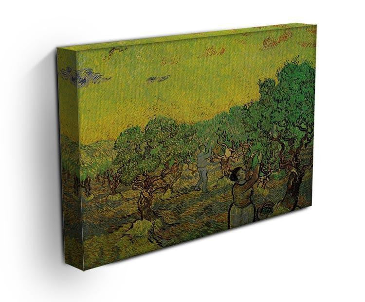 Olive Grove with Picking Figures by Van Gogh Canvas Print & Poster - Canvas Art Rocks - 3