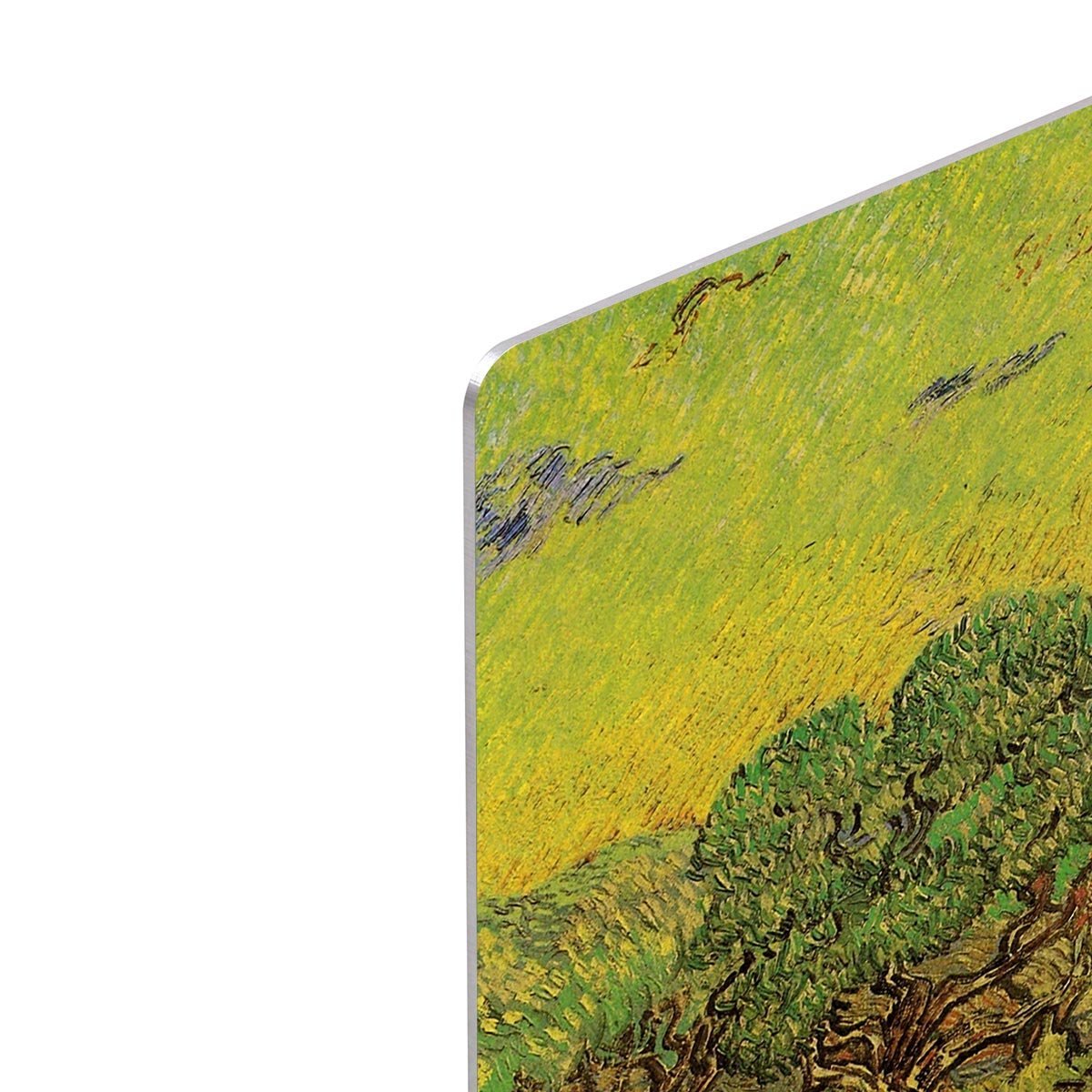 Olive Grove with Picking Figures by Van Gogh HD Metal Print