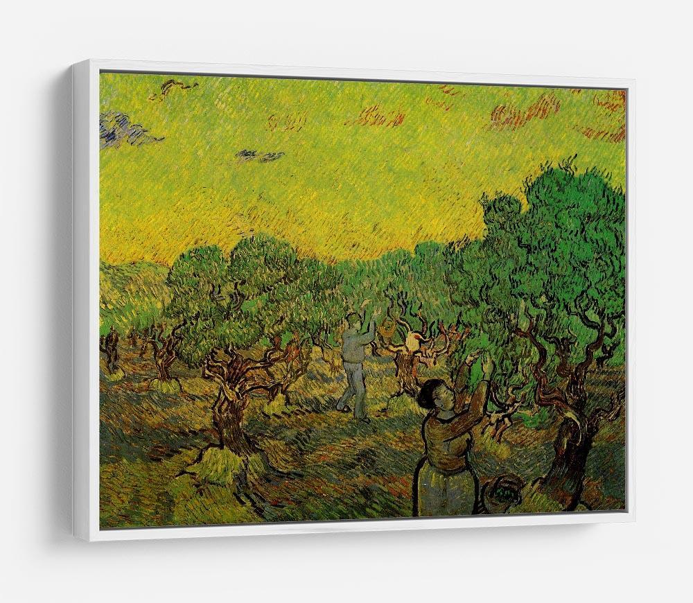 Olive Grove with Picking Figures by Van Gogh HD Metal Print