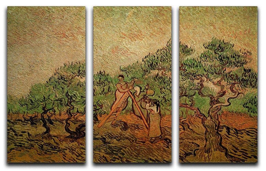 Olive Picking by Van Gogh 3 Split Panel Canvas Print - Canvas Art Rocks - 4