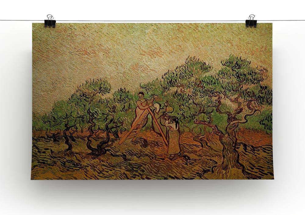 Olive Picking by Van Gogh Canvas Print & Poster - Canvas Art Rocks - 2