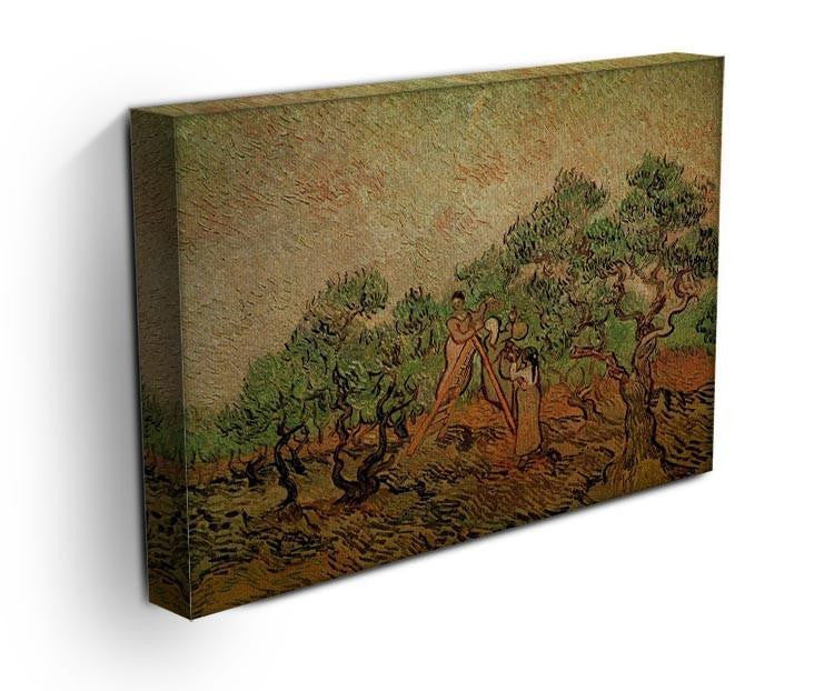 Olive Picking by Van Gogh Canvas Print & Poster - Canvas Art Rocks - 3