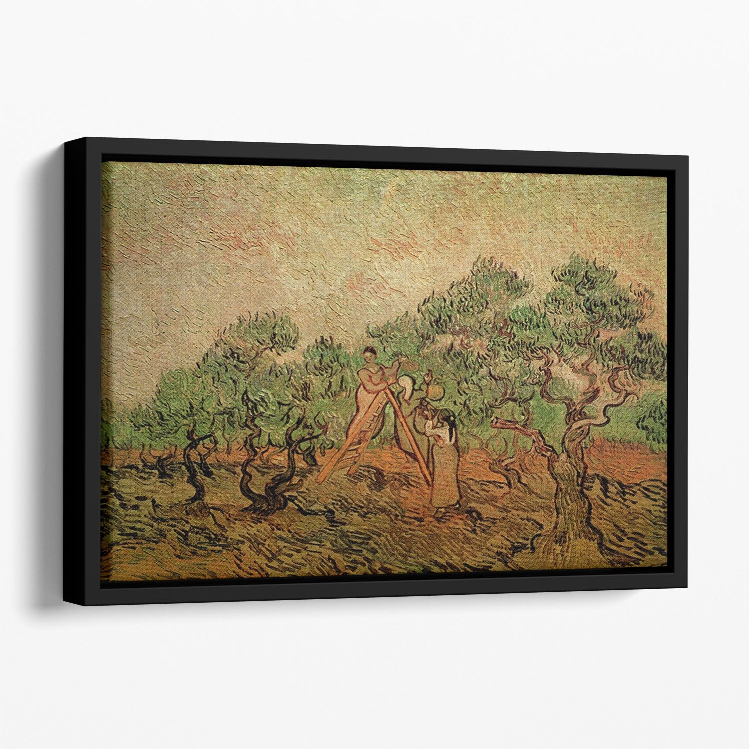 Olive Picking by Van Gogh Floating Framed Canvas