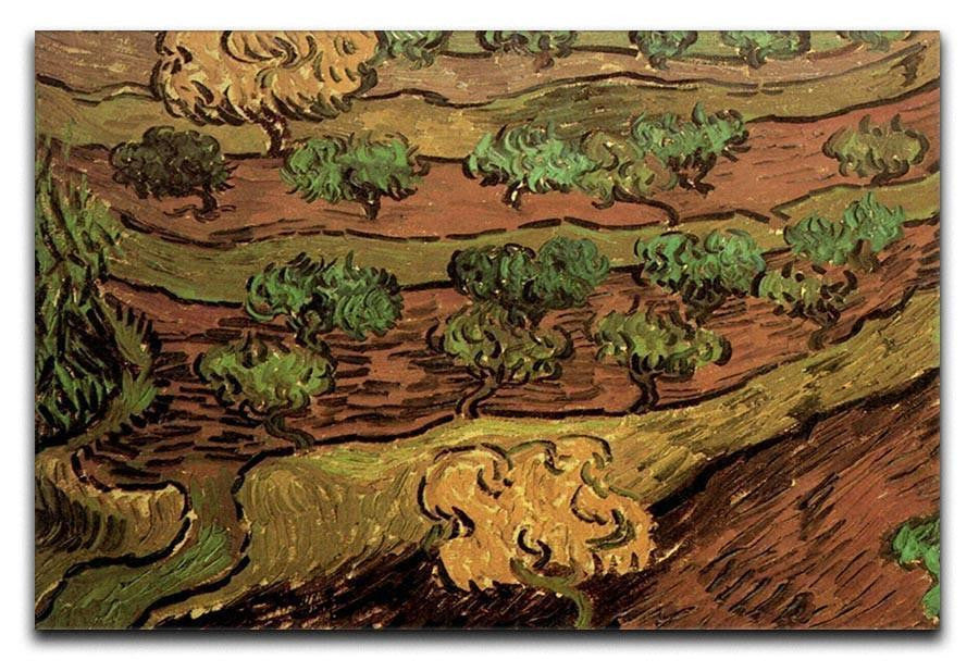 Olive Trees against a Slope of a Hill by Van Gogh Canvas Print & Poster  - Canvas Art Rocks - 1