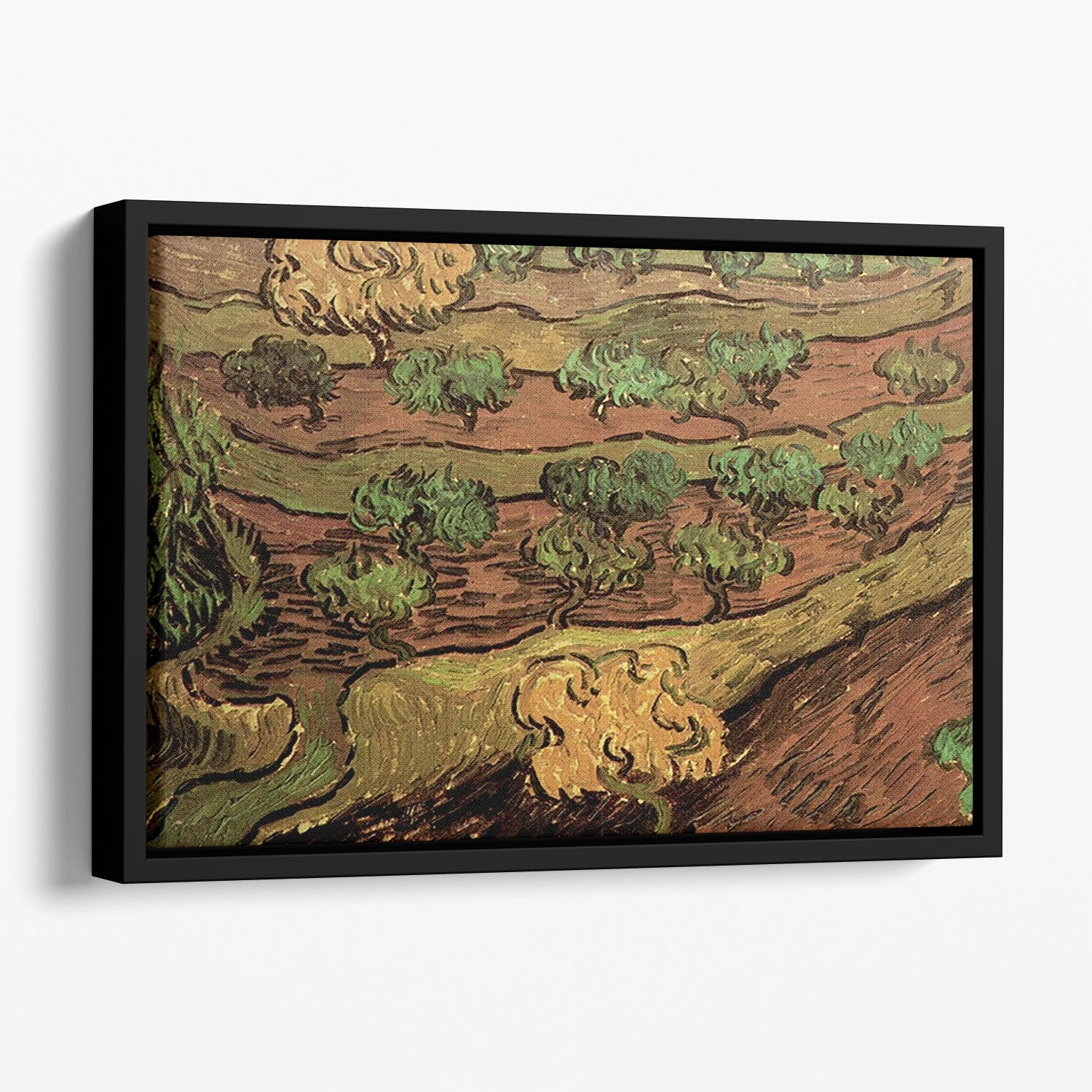 Olive Trees against a Slope of a Hill by Van Gogh Floating Framed Canvas