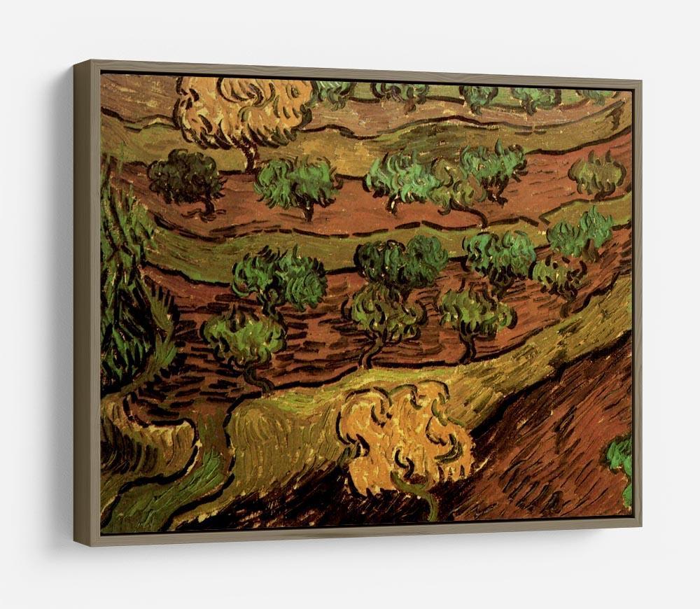 Olive Trees against a Slope of a Hill by Van Gogh HD Metal Print