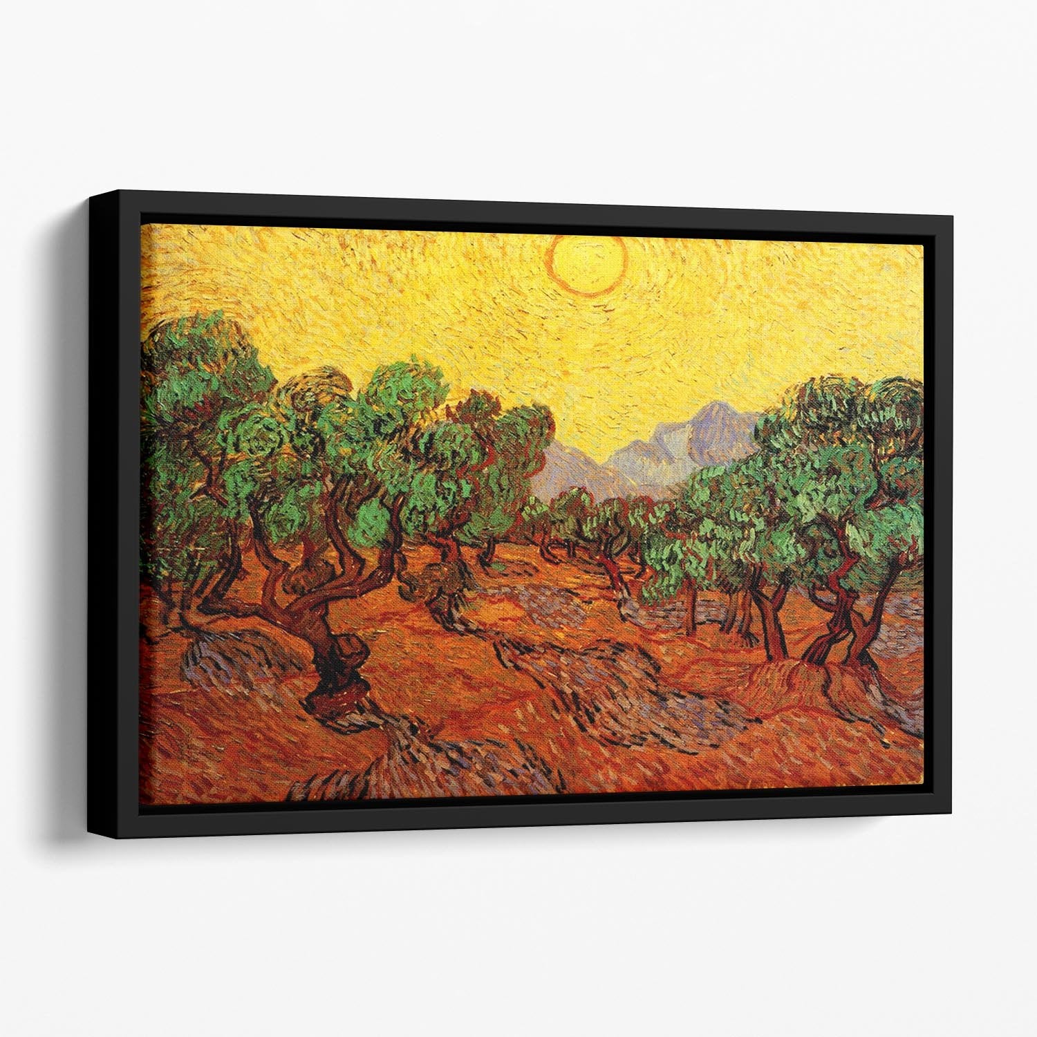 Olive Trees with Yellow Sky and Sun by Van Gogh Floating Framed Canvas
