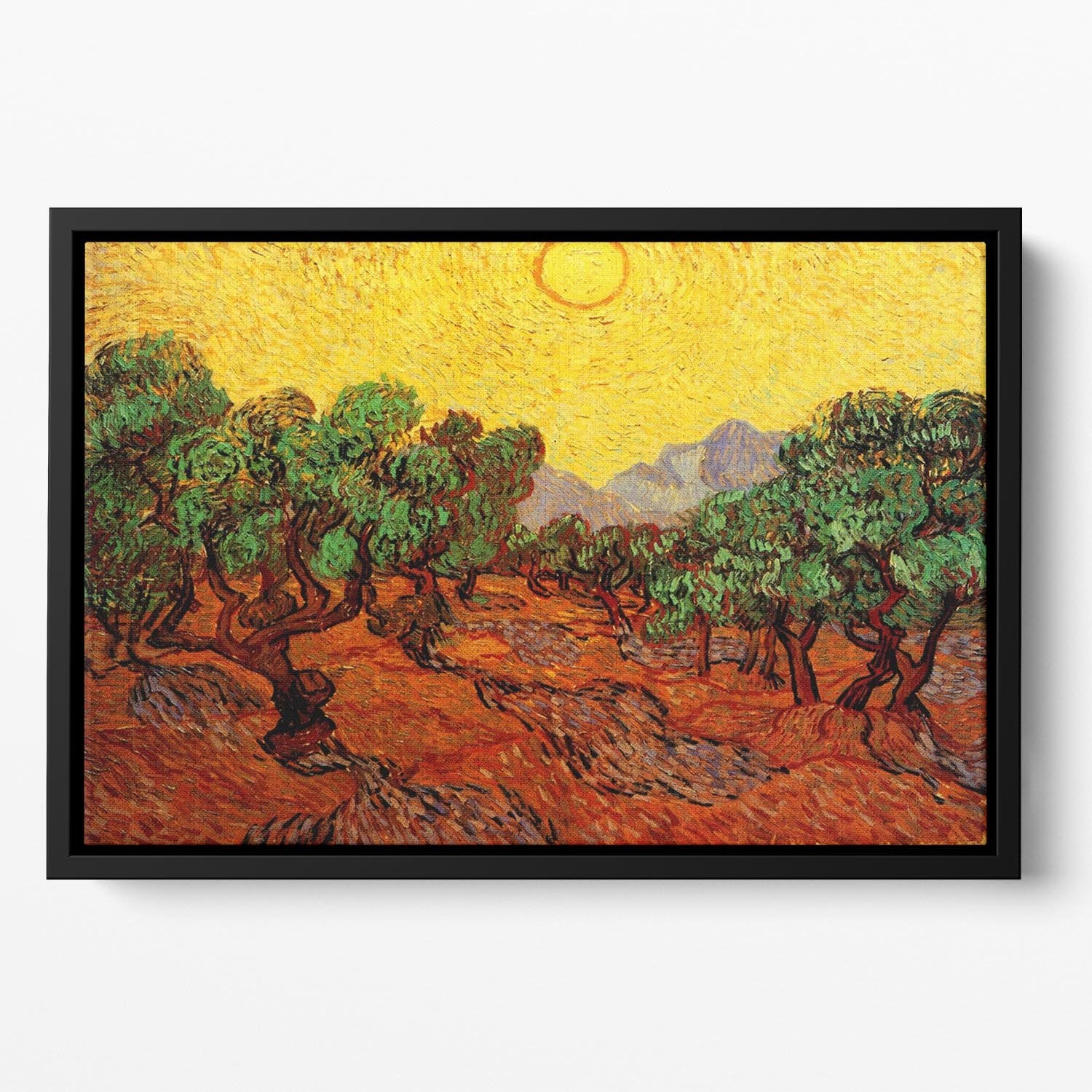 Olive Trees with Yellow Sky and Sun by Van Gogh Floating Framed Canvas