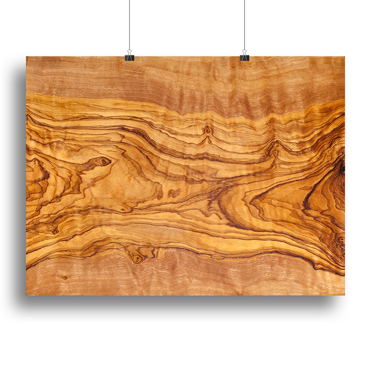 Olive tree wood slice Canvas Print or Poster