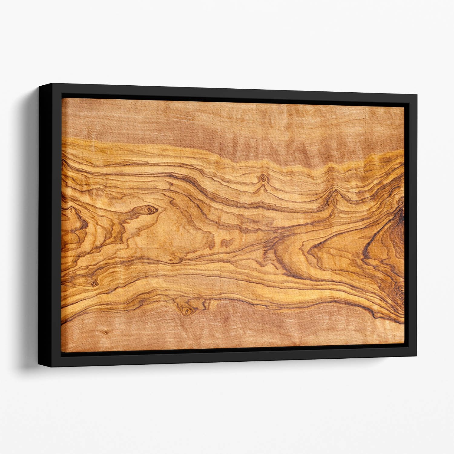 Olive tree wood slice Floating Framed Canvas